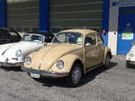 (203'134) - VW-Kfer - BE 544'383 - am 24.