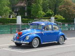 VW-Kafer/662660/205351---vw-kaefer---be-130789 (205'351) - VW-Kfer - BE 130'789 - am 24. Mai 2019 bei der Schifflndte Thun