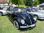 (263'082) - VW-Kfer - ZH 48'402 - am 25. Mai 2024 in Arbon, Arbon Classics