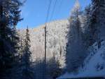 baume/413071/158788---verschneite-tannen-am-15 (158'788) - Verschneite Tannen am 15. Februar 2015 bei Grchen