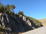 baume/589524/185302---baeume-auf-dem-felsen (185'302) - Bume auf dem Felsen am 27. September 2017 bei Arcals