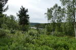 (288'110) - Wald am 12.