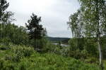 (288'111) - Wald am 12.
