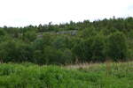 (288'323) - Wald und Wiese am Altafjord am 13. Juni 2026 in Alta, Alta-Museum