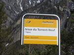 (214'800) - PostAuto-Haltestelle - Tripon, bisse du Torrent-Neuf - am 22. Februar 2020