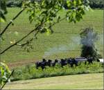 . Die kleine Schwarze, abgetaucht ins Gr�n - Sauschw�nzlesbahn im Juni 2013 (Matthias)