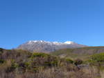 (191'356) - Der Mount Ruapehu vom Tongariro-Nationalpark aus am 25.