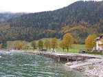 seen/528713/175948---herbststimmung-am-19-oktober (175'948) - Herbststimmung am 19. Oktober 2016 am Achensee bei Pertisau