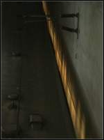 . Reflexion und Schatten einer S-Bahn - Im Bahnhof Filderstadt reflektieren sich die Fenster einer S-Bahn auf der Betonwand daneben. (Matthias)