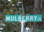 Strassennamen/372034/153255---der-mulberry-platz-am (153'255) - Der 'Mulberry' Platz am 19. Juli 2014 in Highland Park
