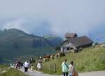 (264'959) - Bergkapelle Rigi Kulm am 23. Juli 2024 auf der Rigi