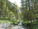 (251'131) - Bach- und Waldlandschaft am 6. Juni 2023 beim Lauenensee in Lauenen