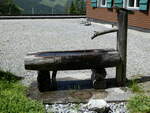 (237'229) - Brunnen am 18. Juni 2022 beim Bahnhof Grindelwald-Alpiglen