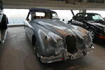 (286'172) - Jaguar - BL 40'124 - am 16. April 2026 in Muttenz, Pantheon