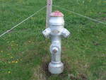 Fahrni/627445/192975---hydrant---nr-8 (192'975) - Hydrant - Nr. 8 - am 11. Mai 2018 bei Fahrni 