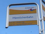 (200'498) - Grindelwald Bus-Haltestelle - Grindelwald, Mnnlichenbahn - am 1.