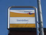 Grindelwald/729498/223869---grindelwald-bus-haltestelle---grindelwald (223'869) - Grindelwald Bus-Haltestelle - Grindelwald, Steinbillen - am 28. Februar 2021