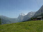 (237'224) - Das Wetterhorn am 18. Juni 2022 von Alpiglen bei Grindelwald aus