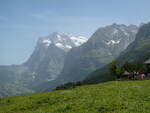 (237'225) - Das Wetterhorn am 18. Juni 2022 von Alpiglen bei Grindelwald aus