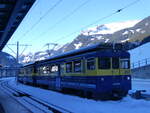 (271'319) - BOB-Triebwagen - Nr. 313 - am 18. Januar 2025 im Bahnhof Grindelwald