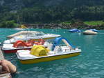iseltwald/708827/219279---pedalo---be-80243 (219'279) - Pedalo - BE 80'243 - am 1. August 2020 in Iseltwald