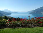 (254'818) - Der Thunersee am 5.