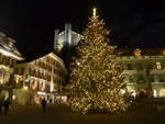 (200'073) - Weihnachtsbaum mit Schloss am 20.