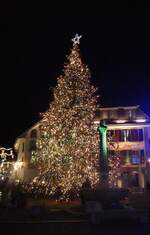 (282'395) - Weihnachtsbaum am 14. November 2025 auf dem Thuner Rathausplatz