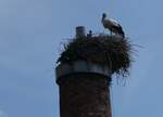 (275'560) - Storchennest am 15.