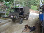 Hunde/682810/211585---steyr-puch---cl-290139 (211'585) - Steyr-Puch - CL 290'139 - mit Hund am 18. November 2019 in Rio Jsus