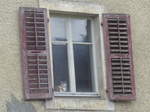 (179'321) - Eine Katze hinter dem Fenster am 2. April 2017 in Vendlincourt