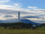 Kuhe/621363/191861---leuchtturm-und-kuehe-am (191'861) - Leuchtturm und Khe am 29. April 2018 bei Pungarehu