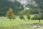 (280'480) - Ahorne und Khe am 17.