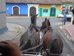 Pferde/686272/212143---zwei-pferde-am-22 (212'143) - Zwei Pferde am 22. November 2019 in den Strassen von Granada