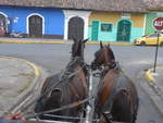 Pferde/686273/212144---zwei-pferde-am-22 (212'144) - Zwei Pferde am 22. November 2019 in den Strassen von Granada