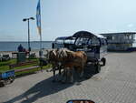 (254'625) - Pferdekutsche am 2. September 2023 am Hafen von Vitte