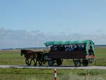 Pferde/826349/254641---kutsche-unterwegs-am-2 (254'641) - Kutsche unterwegs am 2. September 2023 in Vitte