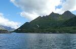 (288'652) - Impressionen von den Lofoten mit M�wen am 16.