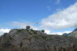 (288'658) - Felsen mit Seeadler und M�wen am 16. Juni 2026 bei den Lofoten